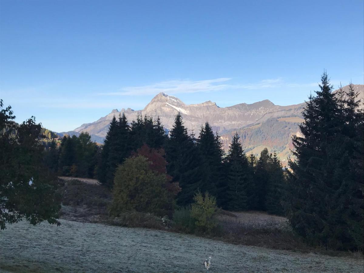 La Ferme Des Georgieres "Sejour En Tout Compris" Notre-Dame-de-Bellecombe Kültér fotó